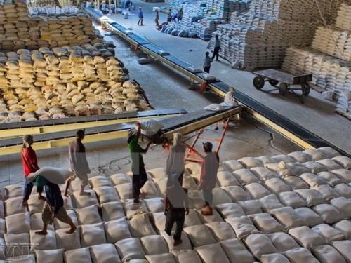 Les exportations du riz vont prosperer au quatrieme trimestre de 2018 hinh anh 1