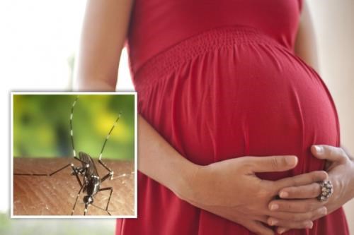 Une nouvelle femme enceinte a Ho Chi Minh-Ville infectee par le Zika hinh anh 1