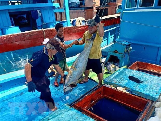 Le Vietnam souhaite un developpement durable de la mariculture hinh anh 1