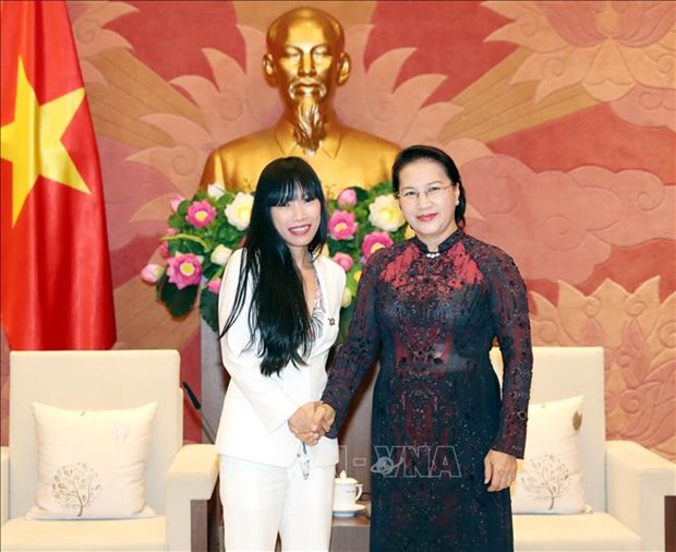 Le Vietnam s’attache toujours aux relations avec la France hinh anh 1