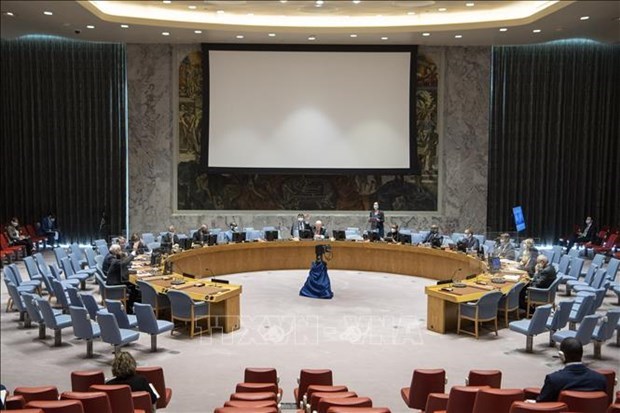 Vietnam/ONU : discussions sur la situation au Liban et en Somalie hinh anh 1