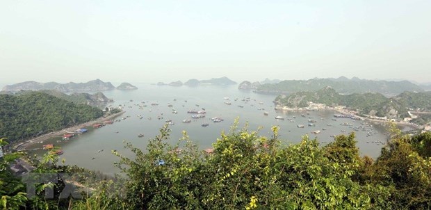 Le Vietnam s’efforce de preserver ses reserves de biosphere hinh anh 1