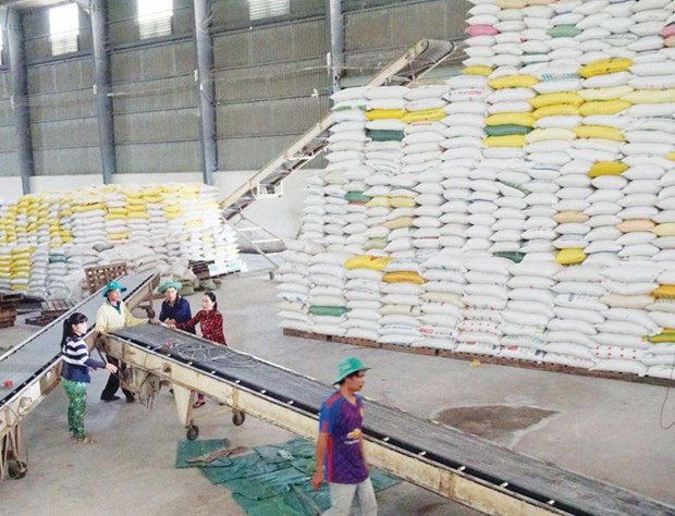 Le Vietnam exporte plus de 5,7 millions de tonnes de riz en onze mois hinh anh 1