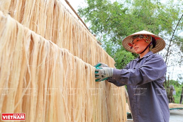 Les fibres de bananier du Vietnam conquierent le marche mondial hinh anh 2