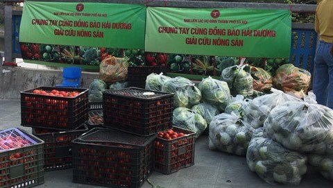A la rescousse des produits agricoles de Hai Duong hinh anh 1