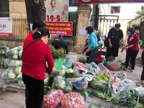 A la rescousse des produits agricoles de Hai Duong hinh anh 3