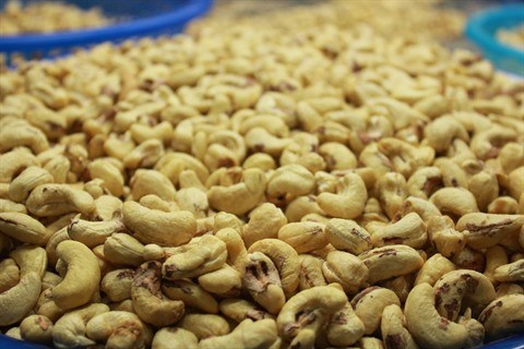 Binh Phuoc renforce la production raffinee de noix de cajou hinh anh 2