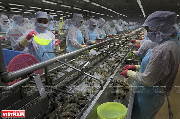 Vietnam : l’aquaculture sera un secteur economique national important hinh anh 1