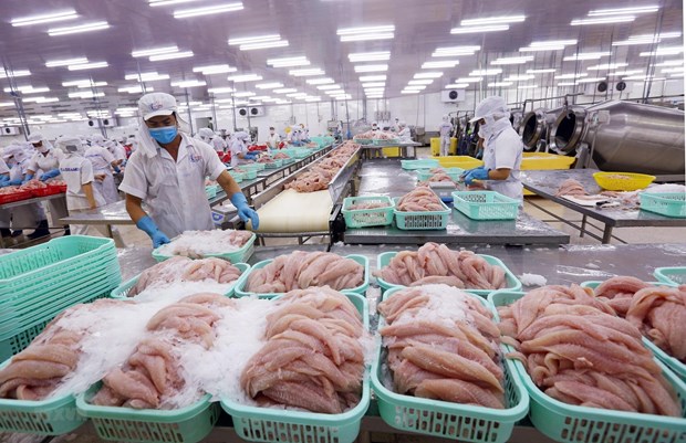Vietnam : l’aquaculture sera un secteur economique national important hinh anh 2