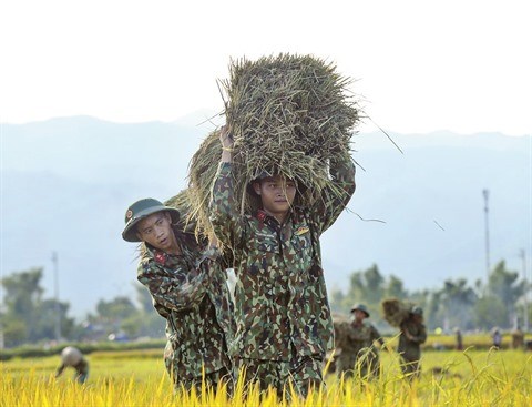 Les jeunes militaires œuvrent pour la Nouvelle ruralite hinh anh 1