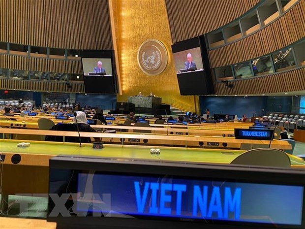 ONU : le Vietnam affirme son role au Conseil de securite hinh anh 1