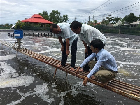 Des mesures pour developper la filiere aquacole du Vietnam d’ici 2030 hinh anh 1