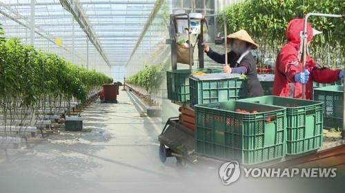 Les travailleurs vietnamiens beneficient d'une prolongation d'un an de sejour en R.de Coree hinh anh 1