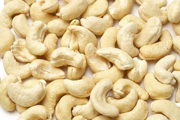 La France augmente ses importations de noix de cajou du Vietnam hinh anh 1