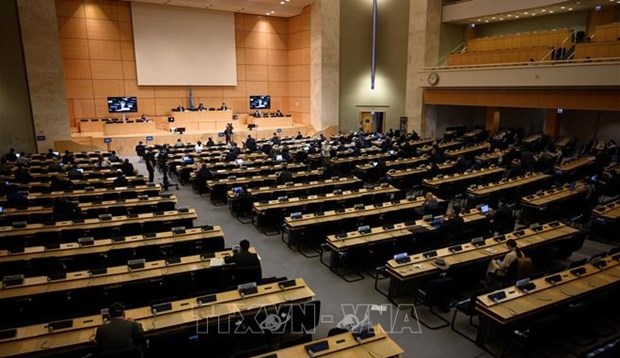 Le Vietnam a la 47e session du Conseil des droits de l’homme de l’ONU hinh anh 1