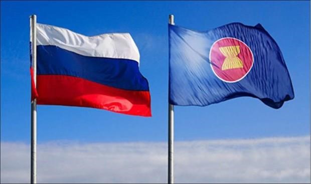 Le Vietnam a la consultation en ligne sur la securite ASEAN – Russie hinh anh 1
