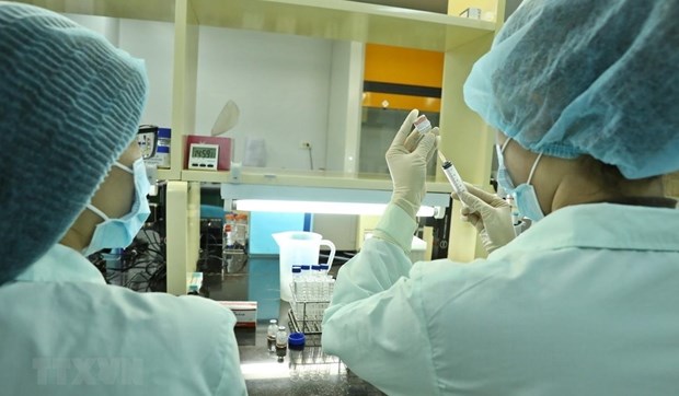 Le Vietnam propose a la BM de soutenir la production de vaccins contre le COVID-19 sur son sol hinh anh 1