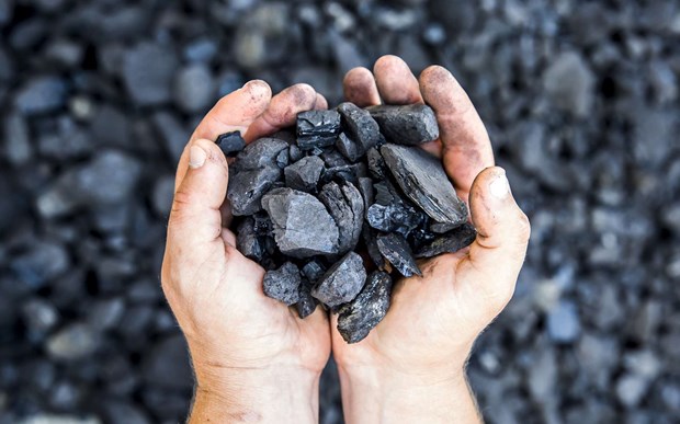 Les exportations de charbon vers l’Asie du Sud-Est en forte hausse hinh anh 1