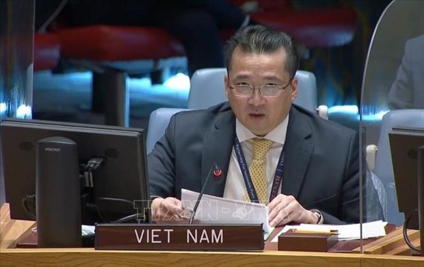 Le Vietnam souligne l’importance de la FISNUA pour la securite dans la region d'Abyei hinh anh 1