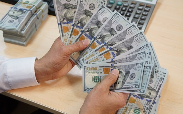 Hausse de 22% des devises etrangeres transferees a Ho Chi Minh-Ville hinh anh 1