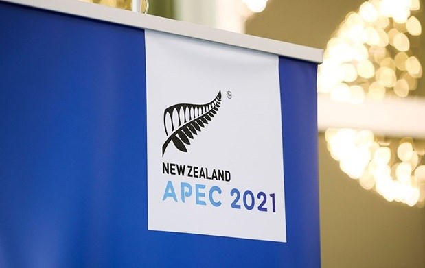 L'APEC continue d'etre un forum et un mecanisme importants dans la region d’Asie-Pacifique hinh anh 2
