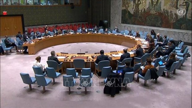 Le Vietnam apporte de nombreuses contributions precieuses au Conseil de securite de l’ONU hinh anh 1