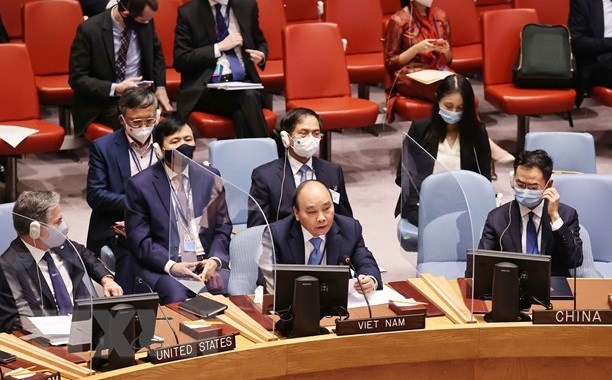 Le Vietnam apporte de nombreuses contributions precieuses au Conseil de securite de l’ONU hinh anh 2