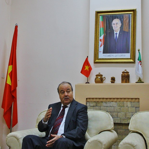 Promouvoir davantage les relations economiques Vietnam – Algerie hinh anh 2