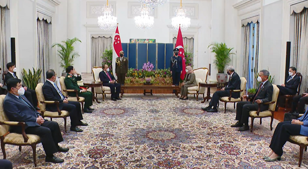 Rencontre entre les presidents vietnamien et singapourien hinh anh 1
