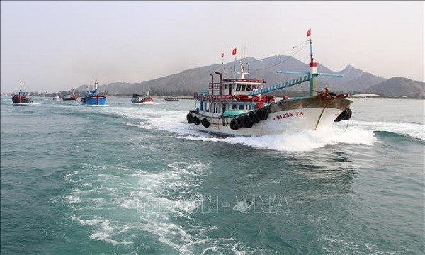 La lutte contre la peche INN aidera a developper durablement l’economie maritime de Ninh Thuan hinh anh 1