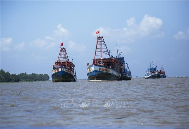 Pendant 2 trimestres consecutifs, Kien Giang n'a detecte aucun bateau de peche coupable d’INN hinh anh 1