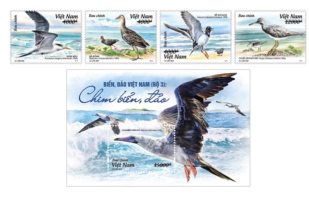 Bientot une collection de timbres sur les oiseaux de mer du Vietnam hinh anh 1
