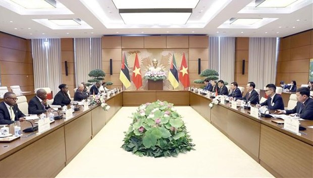 Renforcement des relations entre le Vietnam et le Mozambique hinh anh 1