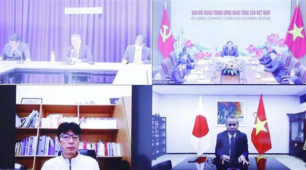 Les Partis communistes du Vietnam et du Japon discutent de leur cooperation hinh anh 2