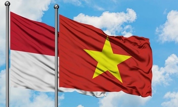 Volonte commune du Vietnam et l’Indonesie de promouvoir leur cooperation multisectorielle hinh anh 1