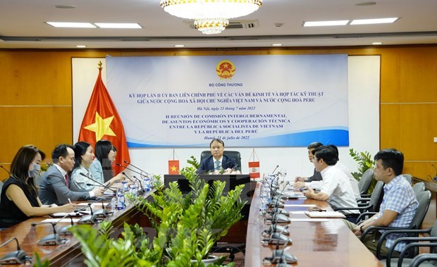 Le Vietnam considere le Perou comme un partenaire important en Amerique latine hinh anh 1