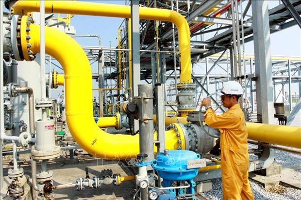 PV Gas D vise le statut de premier distributeur de gaz naturel hinh anh 2
