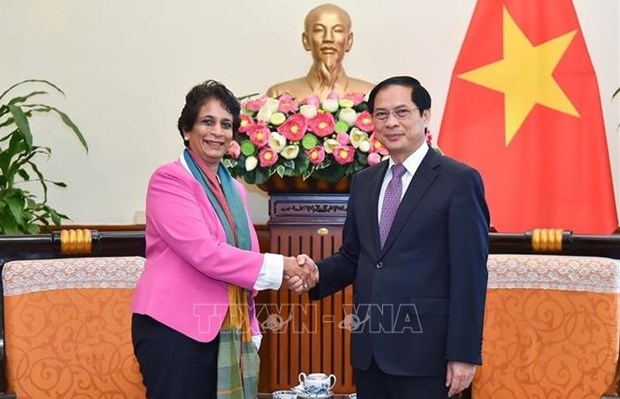 Le PNUD soutient le Vietnam dans son developpement vert et durable hinh anh 1