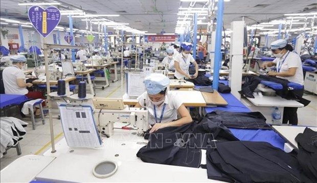 Les exportations de textile-habillement devraient atteindre 45 mlds de dollars cette annee hinh anh 1