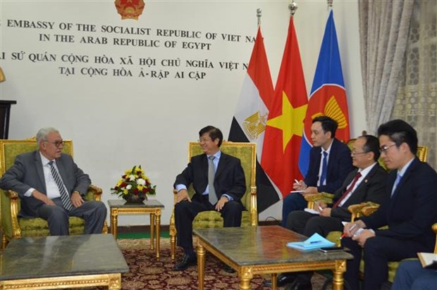 Le Vietnam et l'Egypte conviennent de booster leur cooperation multiforme hinh anh 1