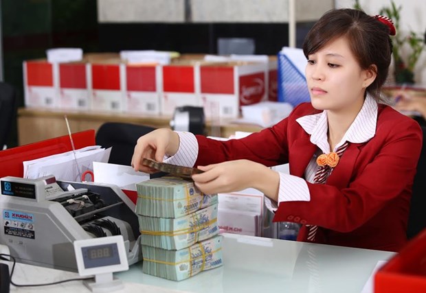 BAD : le marche obligataire vietnamien en monnaie nationale en hausse de 8,1 % hinh anh 1