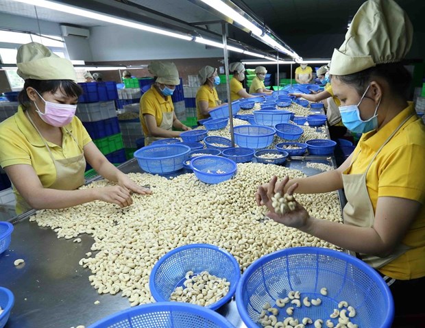 Une reprise impressionnante du commerce international vietnamien hinh anh 1