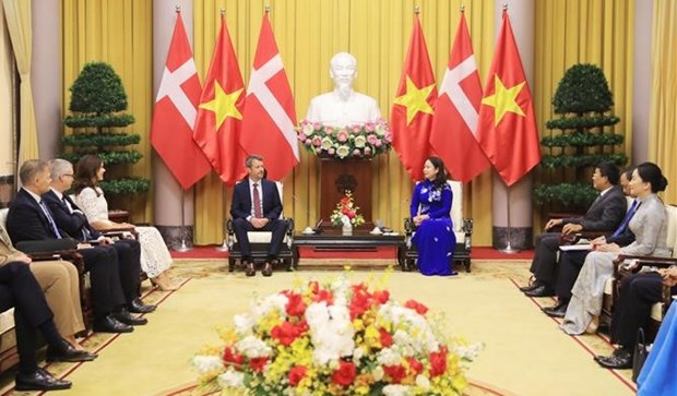La vice-presidente Vo Thi Anh Xuan rencontre le prince heritier du Danemark Frederik hinh anh 2