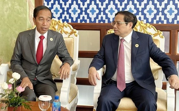 Le Vietnam veut developper son partenariat strategique avec l'Indonesie hinh anh 1