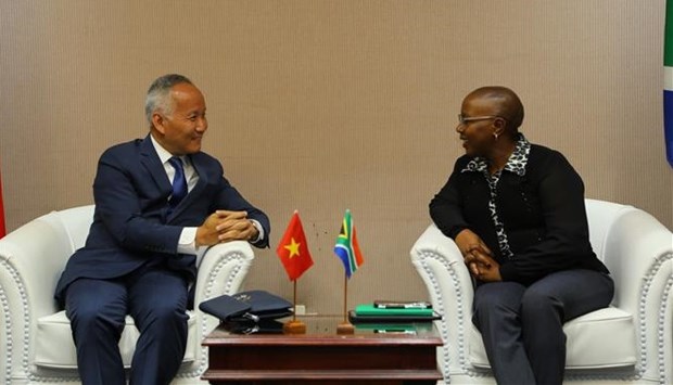 Le Vietnam et l’Afrique du Sud renforcent leur cooperation commerciale hinh anh 1