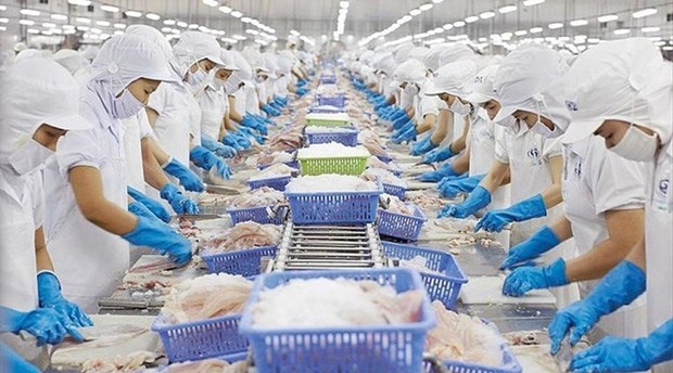 Le Vietnam est le 3e fournisseur de produits aquatiques des Etats-Unis hinh anh 1
