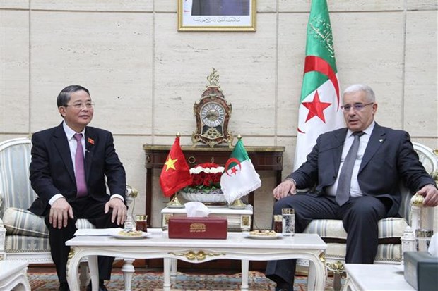 Renforcement de la cooperation parlementaire entre le Vietnam et l'Algerie hinh anh 1