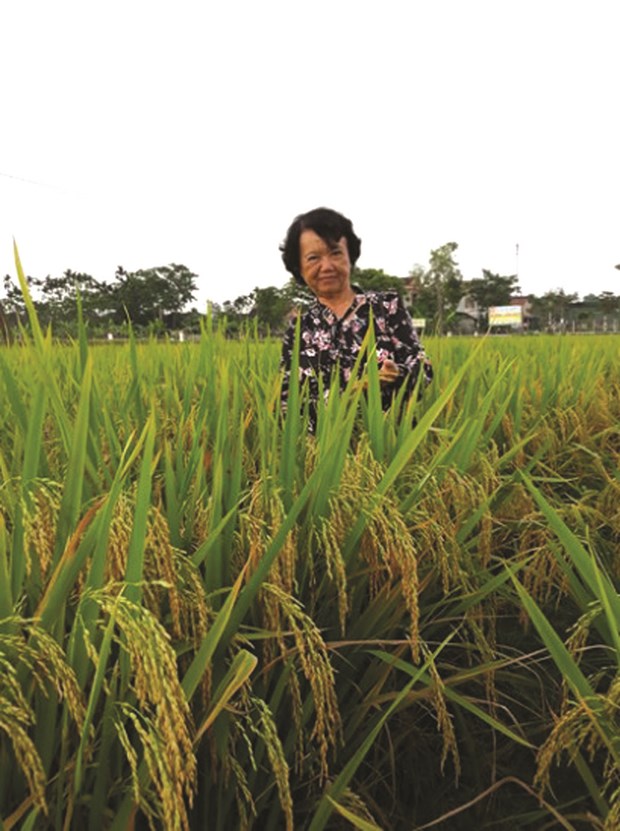 Nguyen Thi Tram, la femme derriere les “moissons en or” des paysans hinh anh 5