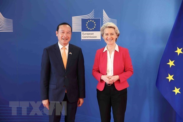 Booster la cooperation Vietnam-UE a un nouveau sommet hinh anh 1