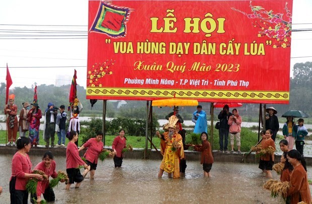 Festival: «Les rois Hung transmettent les techniques rizicoles a la population» hinh anh 1